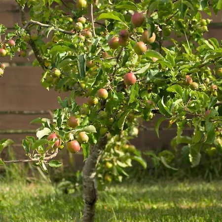 Zefir Nad Morzem I Jeziorem