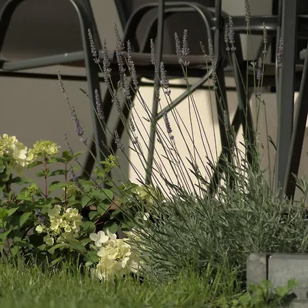 Zefir Nad Morzem I Jeziorem *