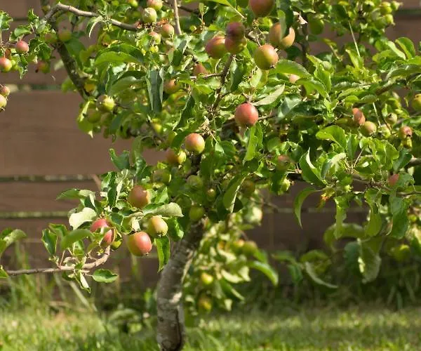Zefir Nad Morzem I Jeziorem