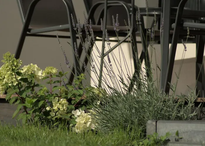 Zefir Nad Morzem I Jeziorem *